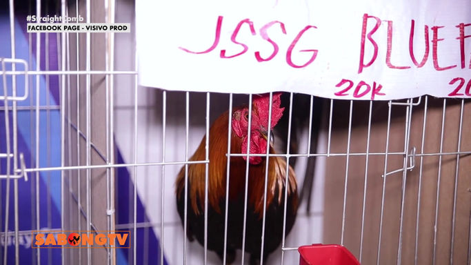 Usapang Bloodlines May 3, 2025